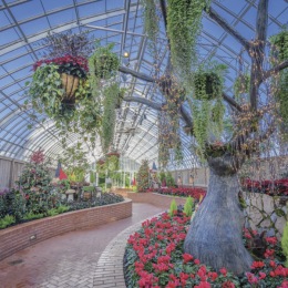 Are you ready for the holidays? Are you ready for the holidays?